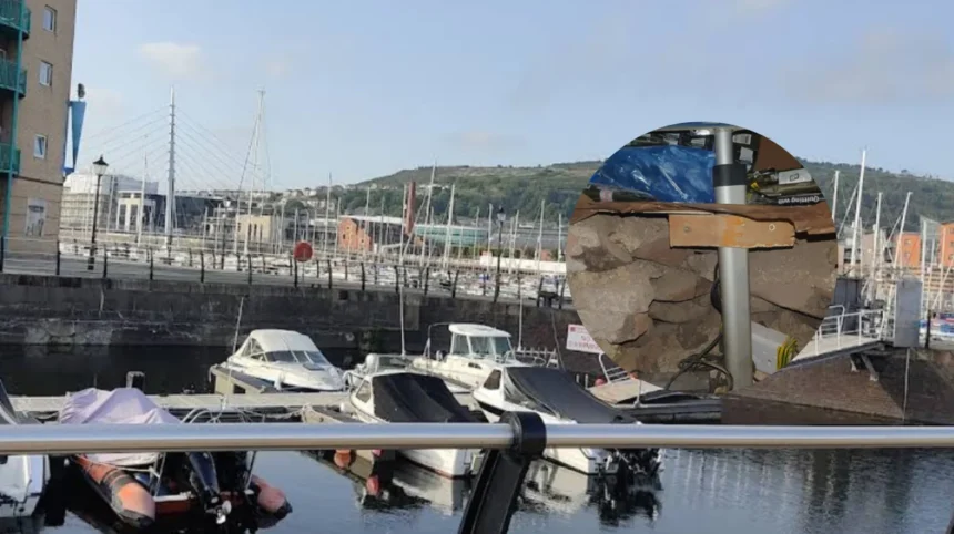 Swansea seizes £300k illegal tobacco in 2026