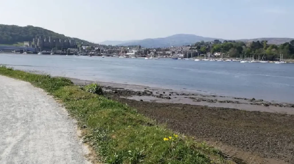 What makes dog friendly cottages Wales properties unique for pet travel