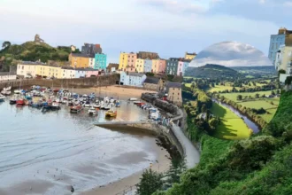 Wales Food Strategy Experts Appointed to Guide Plans