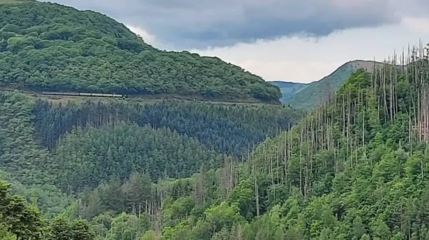 What Is Devil Bridge Falls Wales