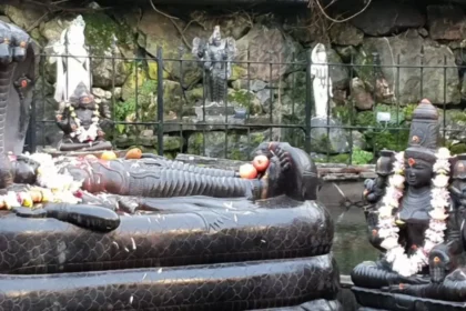 What Is Hindu Temple in Wales Skanda Vale Spiritual Sanctuary
