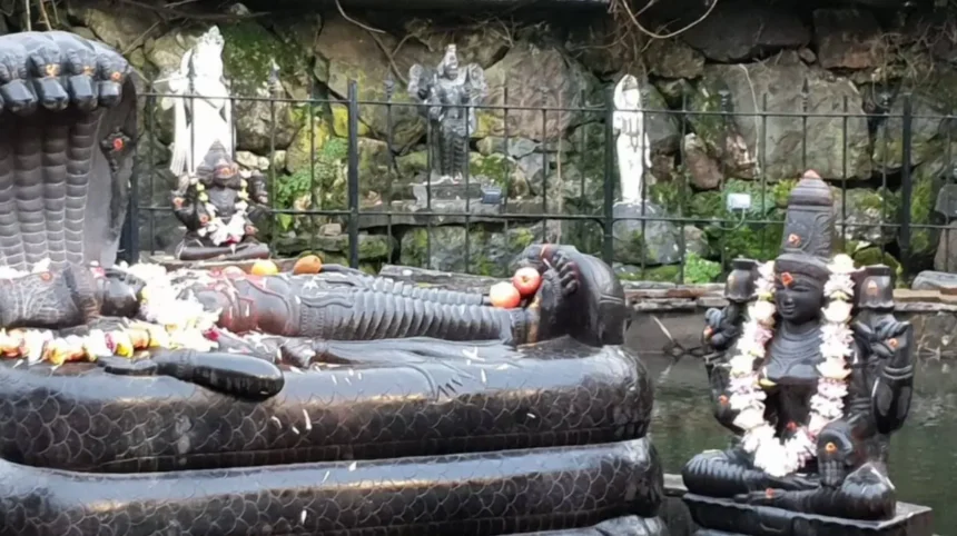What Is Hindu Temple in Wales Skanda Vale Spiritual Sanctuary
