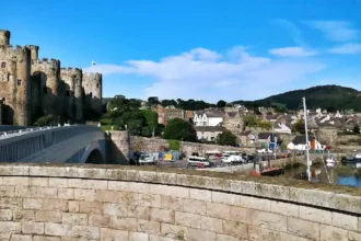 What Is the Complete History and Performance Record of Wales