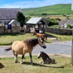 What Makes Llangennith Gower Wales a Unique Coastal Destination