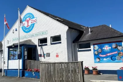 What is the history and founding background of Anglesey Sea Zoo