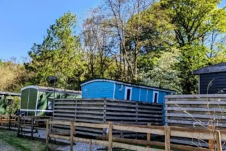 What makes dog friendly cottages Wales properties unique for pet travel