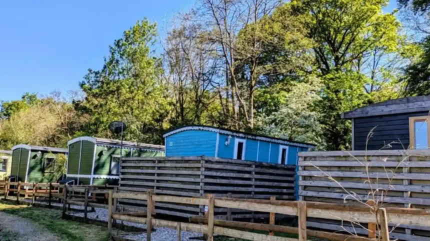 What makes dog friendly cottages Wales properties unique for pet travel