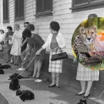 A Halloween Hoedown for a Cause Supporting Cats Protection This Spooky Season