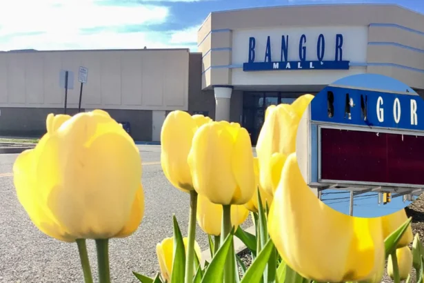 Bangor Mall Redevelopment Hit as Lead Investor Withdraws