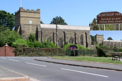 Bizarre Local Drama The Pigs Village Controversy in Wales!