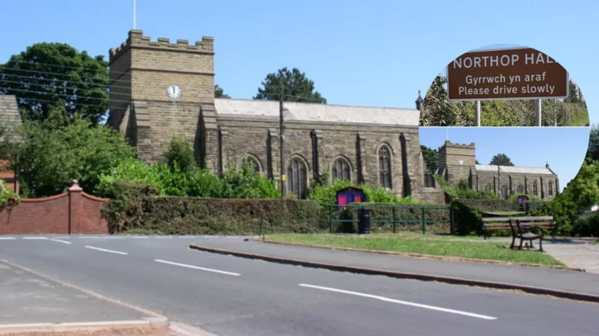 Bizarre Local Drama The Pigs Village Controversy in Wales!