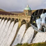 Bluetongue Hits 498 Welsh Farms as Vets Urge Action