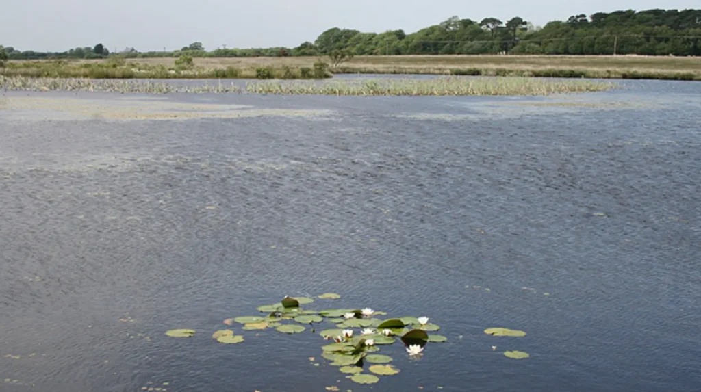 What Makes Gower Wales the UK First Area of Outstanding Natural Beauty?