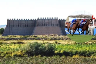 Darkness Falls beats Desert Castle in Newmarket Dewhurst 2026