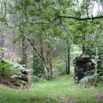 How did Celtic kingdoms establish political authority in medieval Wales