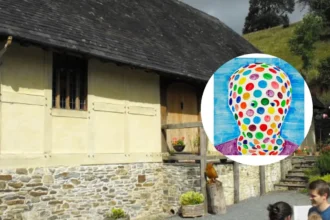 James Rielly Tŷ Mawr New Cardiff Exhibition Opens 2026