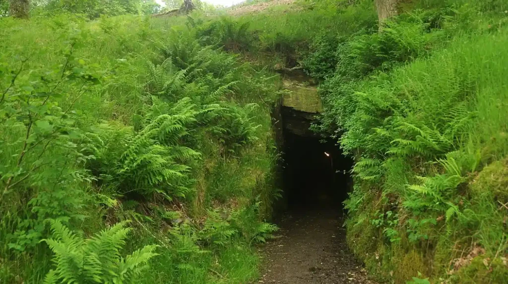 What Defines the National Botanical Gardens of Wales in Carmarthenshire?