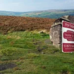 New Cardiff Mural Shapes Moorland Park With Pupil Ideas