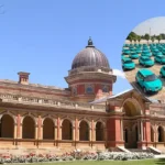 New South Wales EV Fleet Funding Accelerates Business Transition 2026