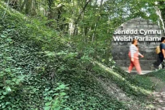 Plaid Cymru Senedd Poll Beaufort Research Gives Party 33% Lead 2026