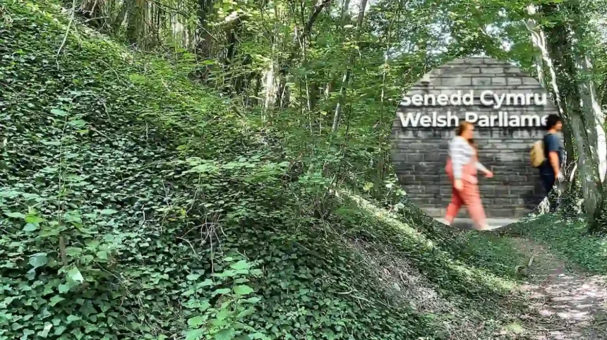 Plaid Cymru Senedd Poll Beaufort Research Gives Party 33% Lead 2026