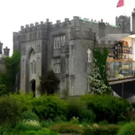 Silk Road Cafe To Close Permanently After Dublin Castle Row 2026