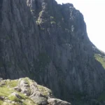 What Is DogLost Wales and How Does It Reunite Lost Dogs