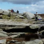 What Is the Complete Guide to Forest Fields Camping in Wales