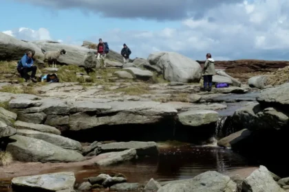 What Is the Complete Guide to Forest Fields Camping in Wales