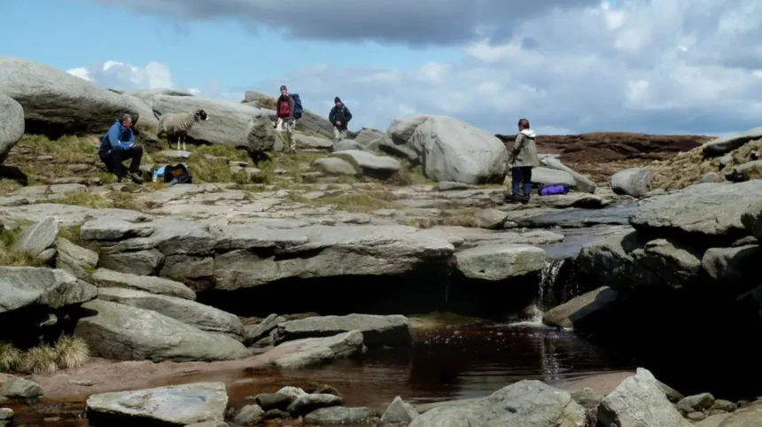 What Is the Complete Guide to Forest Fields Camping in Wales