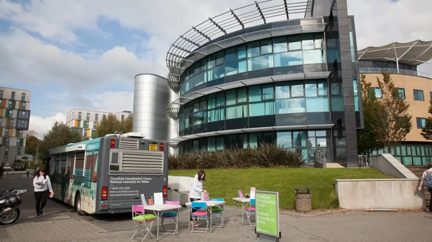 What Is the Wales National Pool Swansea and How Does It Function