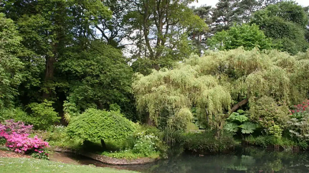 What is Aberglasney Gardens Wales and Why is it Famous?