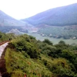 Who Is Prince Henry of Wales and What Is His Royal Legacy